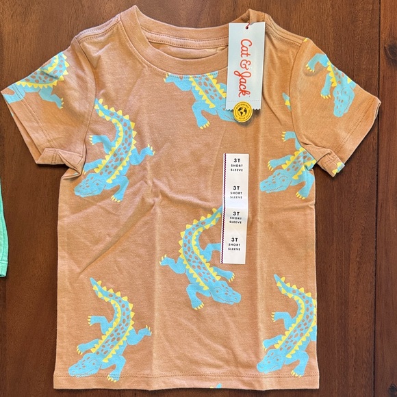Mixed Kids Tees - Coral, Mint, Tan, Aqua Stripe & Light Blue - Picture 6 of 11